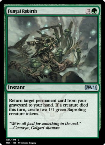 Fungal Rebirth
