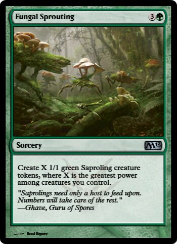 Fungal Sprouting