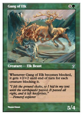 Gang of Elk