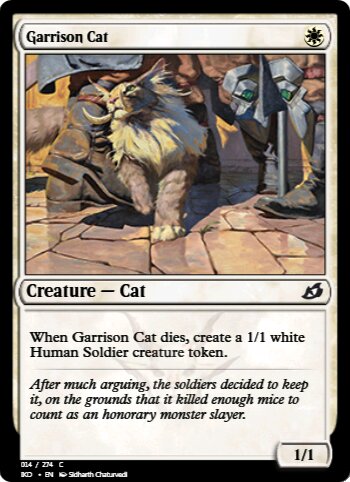 Garrison Cat