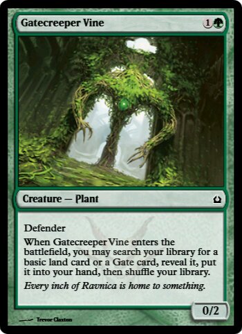 Gatecreeper Vine