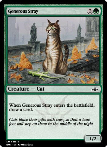 Generous Stray