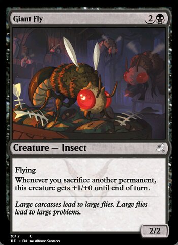 Giant Fly