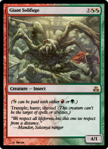 Giant Solifuge