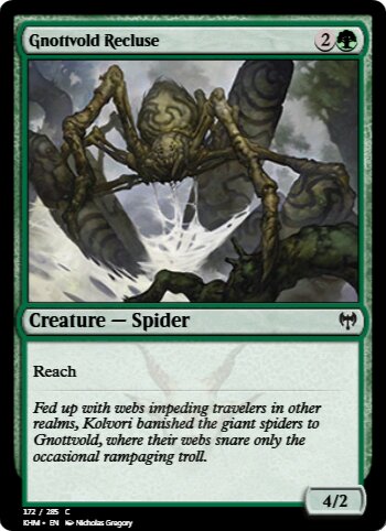 Gnottvold Recluse