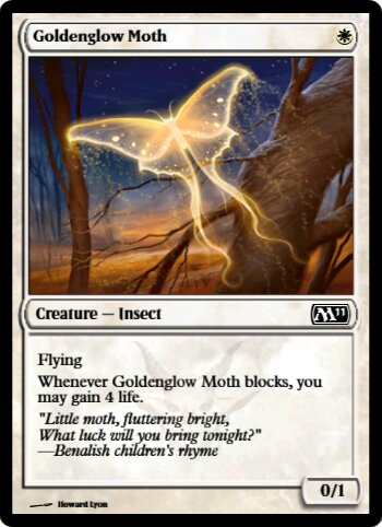 Goldenglow Moth