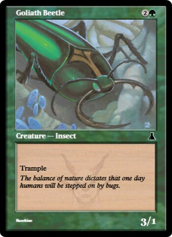 Goliath Beetle