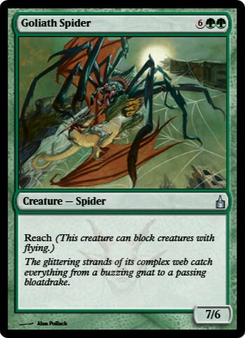 Goliath Spider