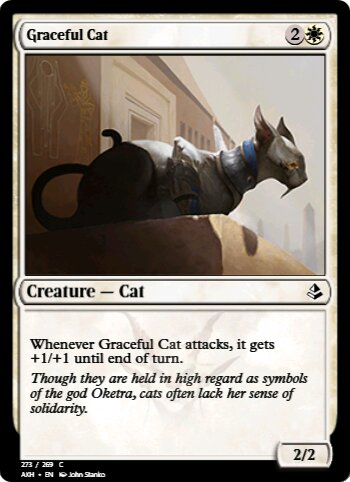 Graceful Cat