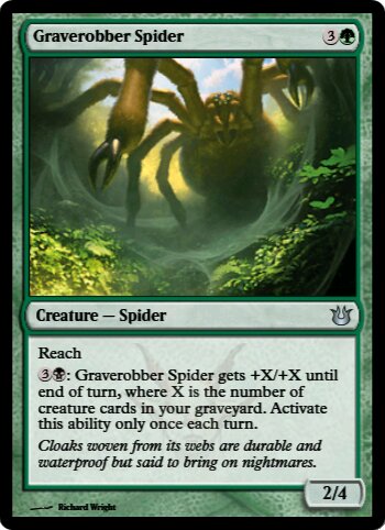 Graverobber Spider