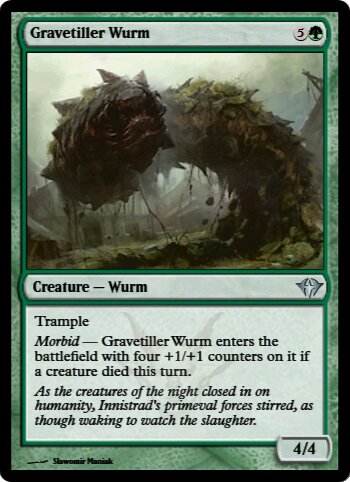 Gravetiller Wurm