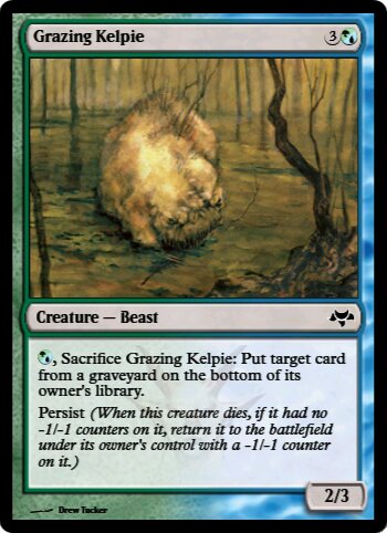 Grazing Kelpie
