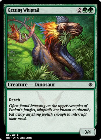 Grazing Whiptail