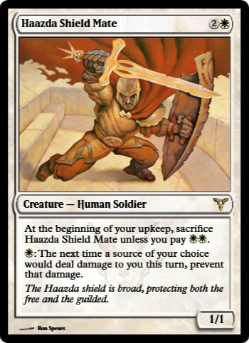 Haazda Shield Mate