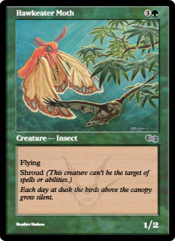 Hawkeater Moth