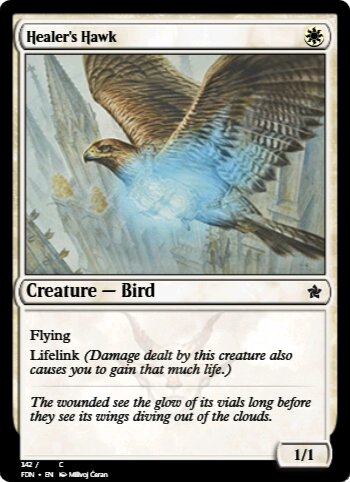 Healer's Hawk