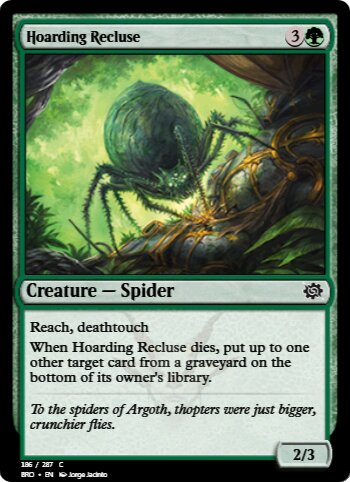 Hoarding Recluse