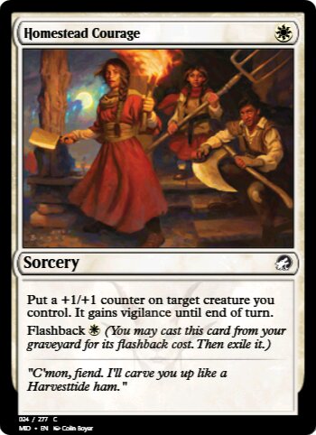 Homestead Courage