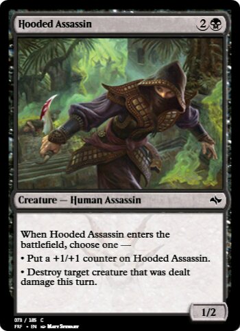 Hooded Assassin