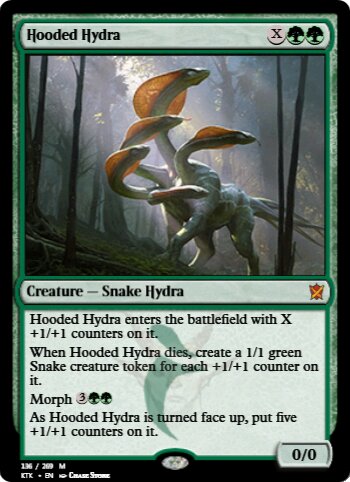 Hooded Hydra