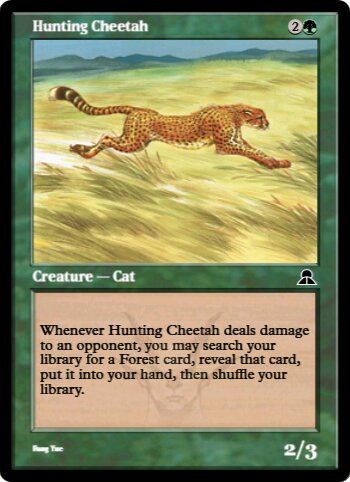 Hunting Cheetah