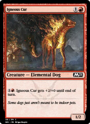 Igneous Cur