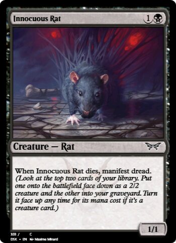 Innocuous Rat