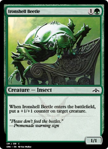 Ironshell Beetle