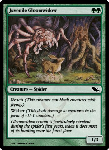 Juvenile Gloomwidow