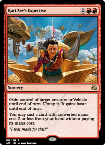 Kari Zev's Expertise