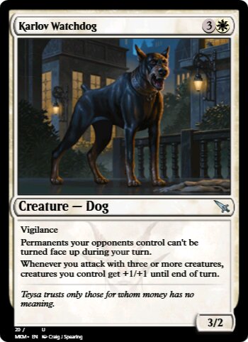 Karlov Watchdog