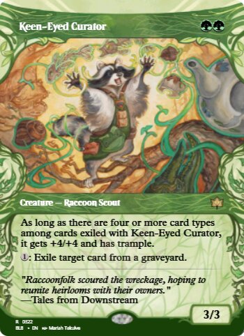 Keen-Eyed Curator