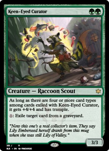 Keen-Eyed Curator