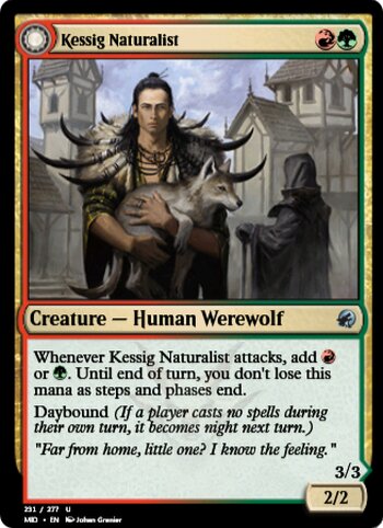 Kessig Naturalist