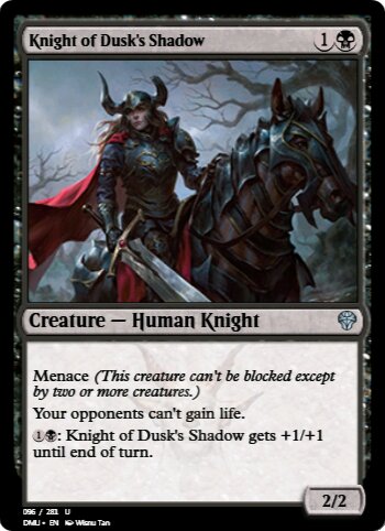 Knight of Dusk's Shadow