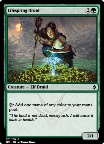 Lifespring Druid