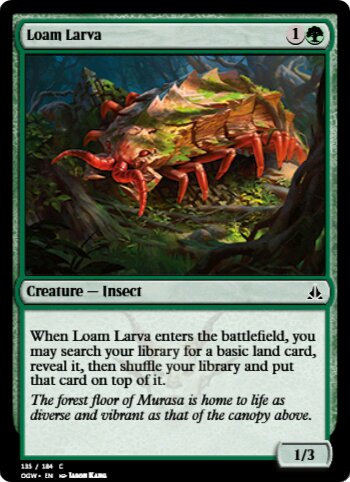 Loam Larva