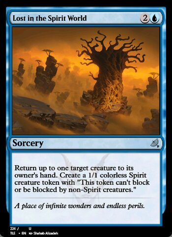 Lost in the Spirit World