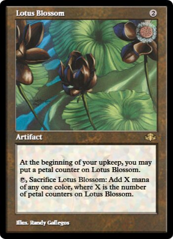 Lotus Blossom