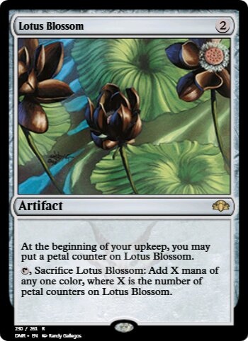 Lotus Blossom