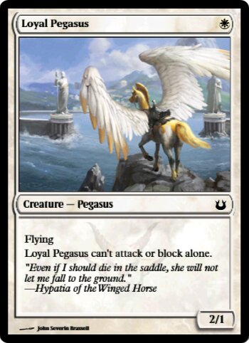 Loyal Pegasus