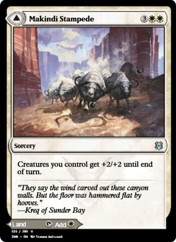 Makindi Stampede