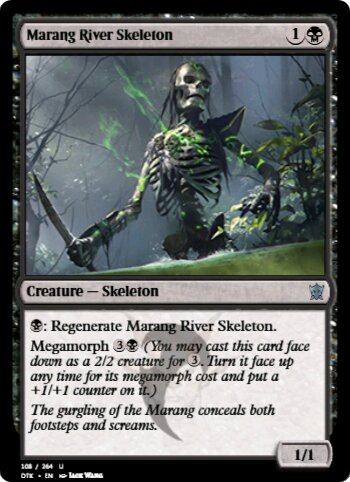 Marang River Skeleton