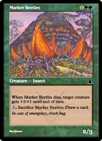 Marker Beetles