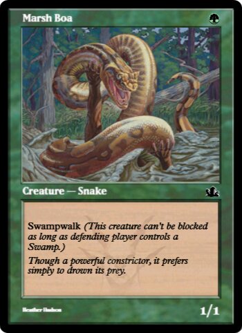 Marsh Boa
