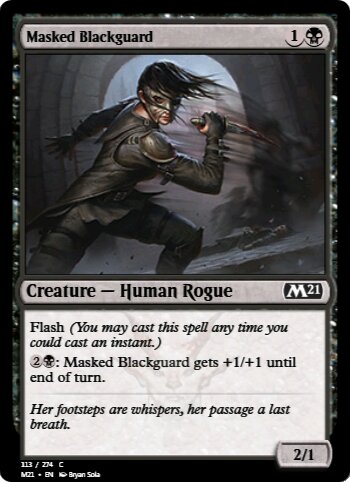 Masked Blackguard