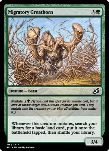 Migratory Greathorn