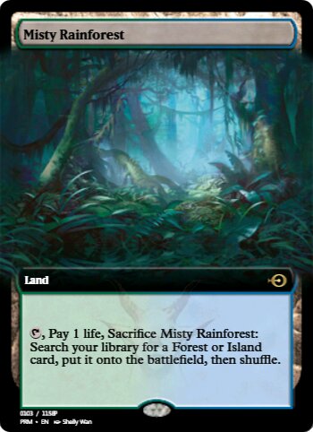 Misty Rainforest