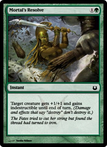Mortal's Resolve
