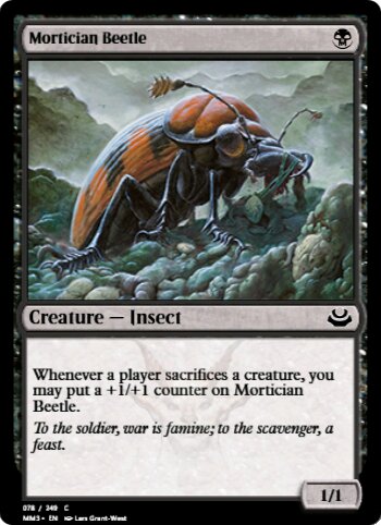 Mortician Beetle